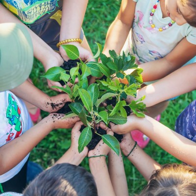 Green School Bali named a "2021 Best of Green Schools Awards" winner image