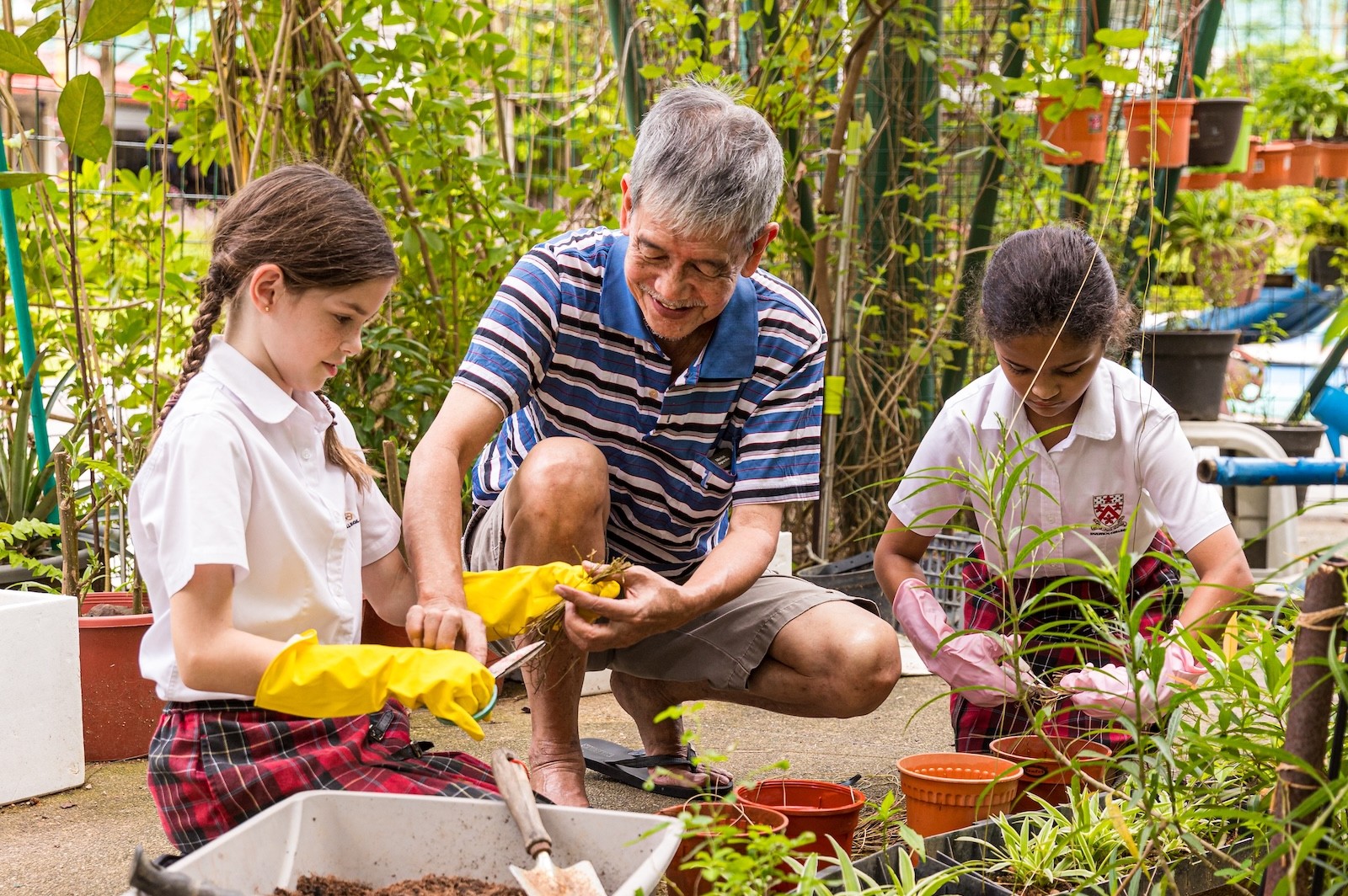 Sustainability and Global Citizenship at EiM header image