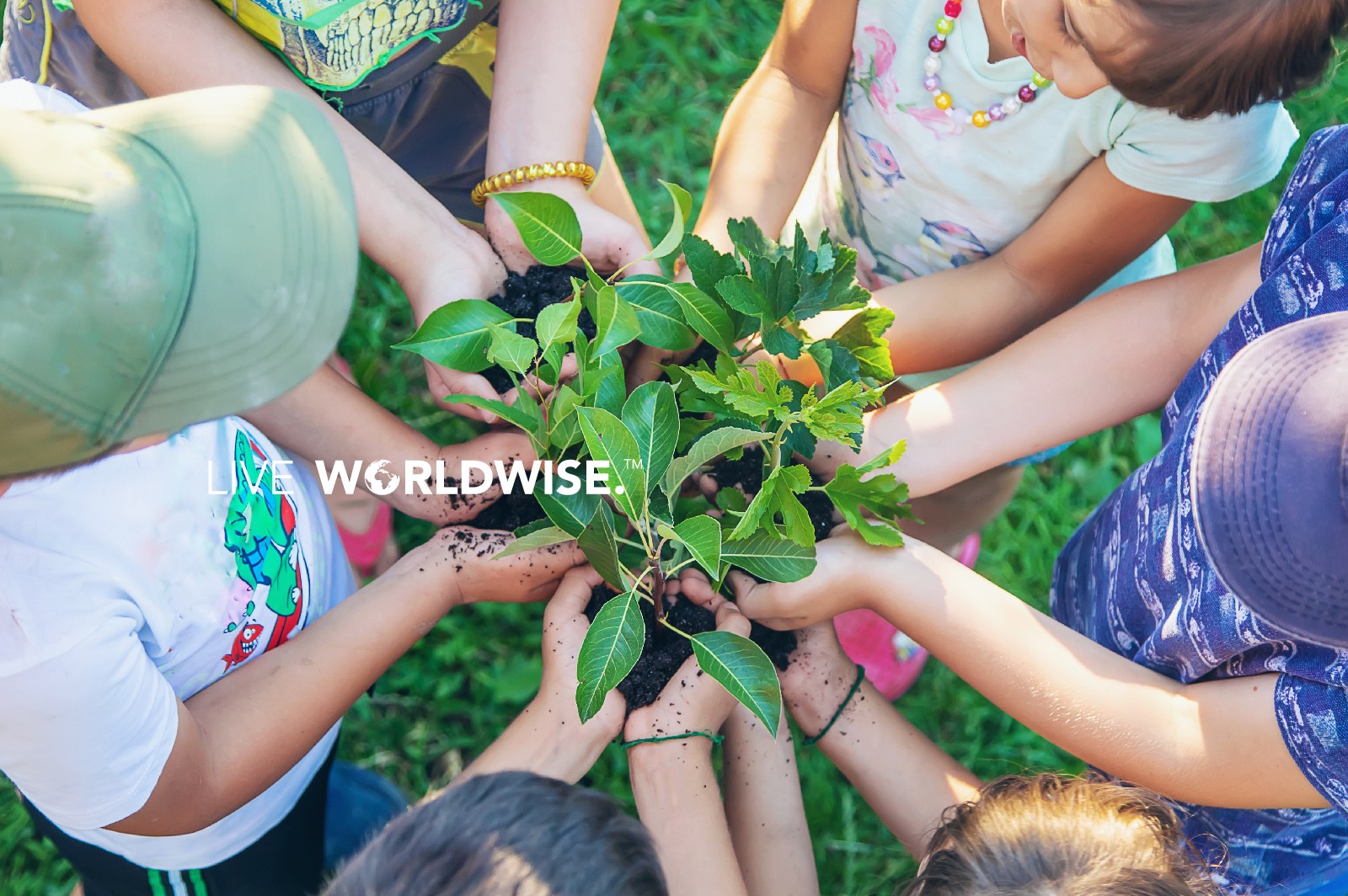 Children joined together to hold plants